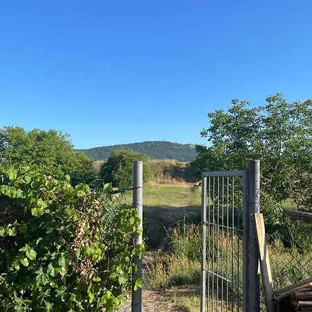 Camping Autocamp Free Star - A Bungalovy